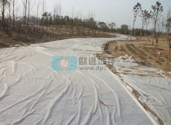 彩色生态透水混凝土地坪-欧进建材www.dp7.cn